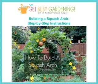 Squash Arch Project Plans cover image.