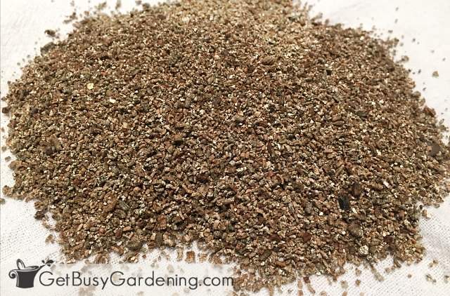 https://getbusygardening.com/wp-content/uploads/2015/01/vermiculite-diy-seed-starting-mix-ingredient.jpg