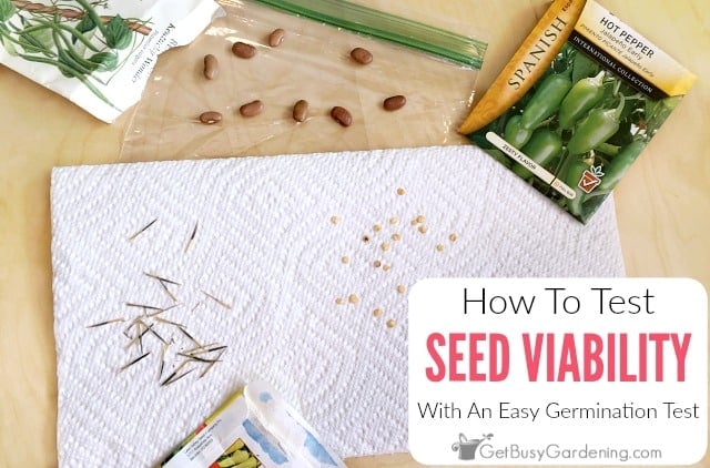 Seed Viability Chart Vegetables