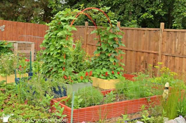 2014 Vegetable Garden July