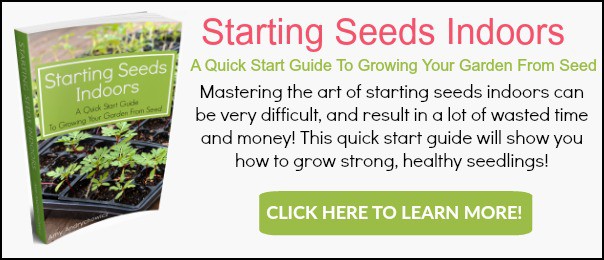 When To Start Seeds Indoors Chart Canada