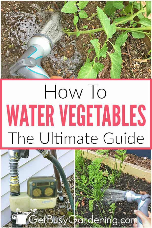 How To Water Vegetables: The Ultimate Guide