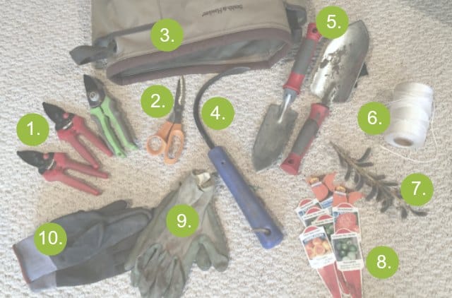 Contents Of My Gardening Bag Revealed