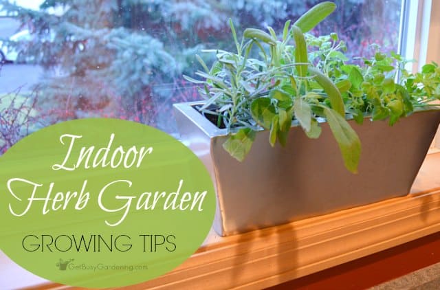 download gardening indoors for free