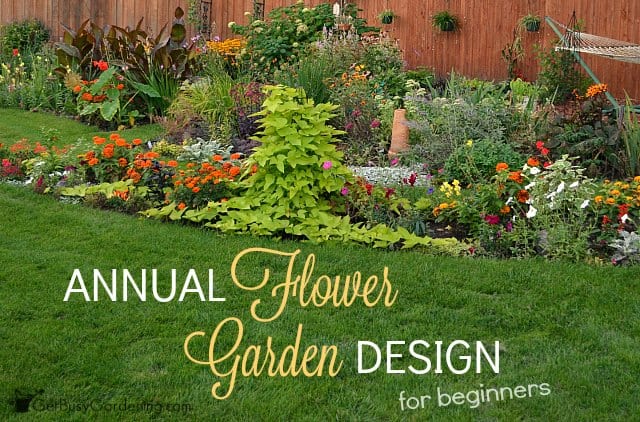 Annual Flower Garden  Design  For Beginners Get Busy Gardening