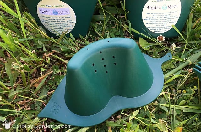 A closer look at hydroRoot plant watering devices