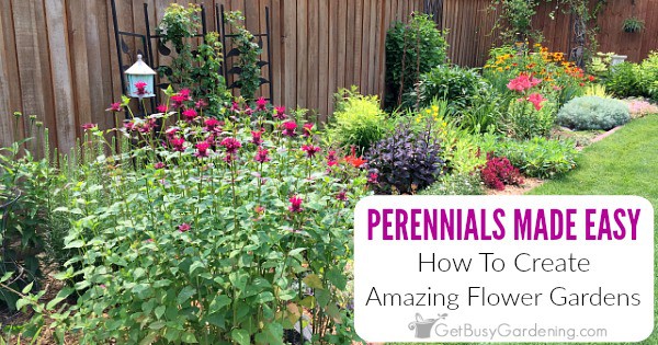 Perennials Made Easy How To Create Amazing Gardens Get