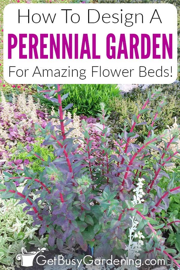 How To Design A Perennial Garden For Amazing Flower Beds!