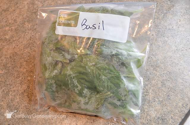 Store basil leaves in freezer