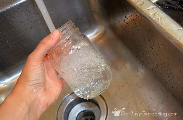 Rinse home canning jars with hot water
