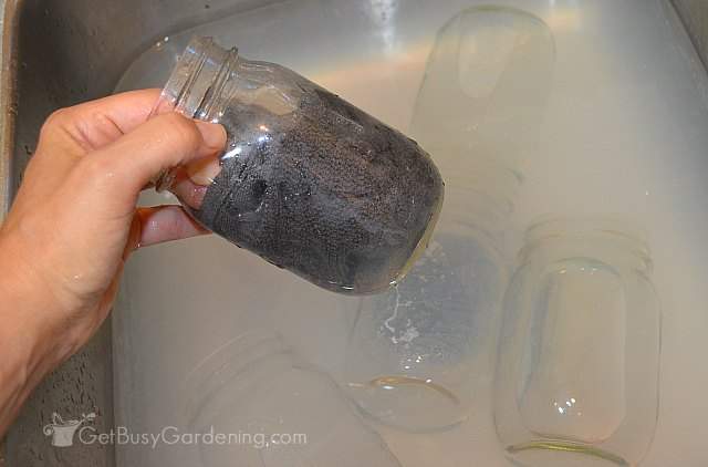 Use dishcloth to clean the jars