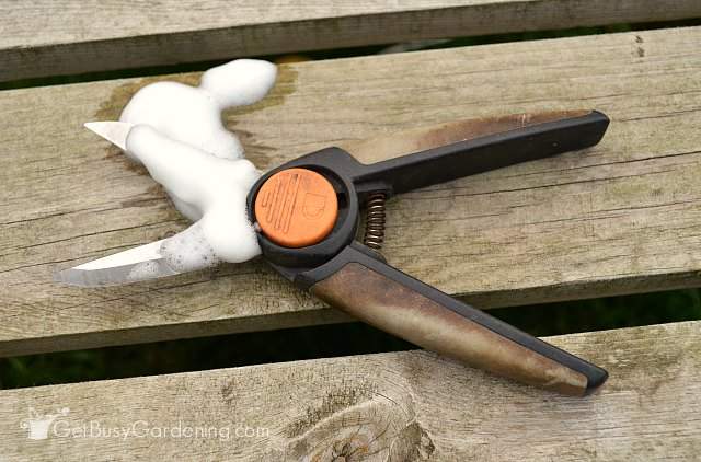 Clean garden pruning tools with foaming soap