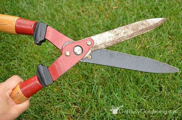 Sharpen Pruning Shears For The Perfect Cut Every Time , Get