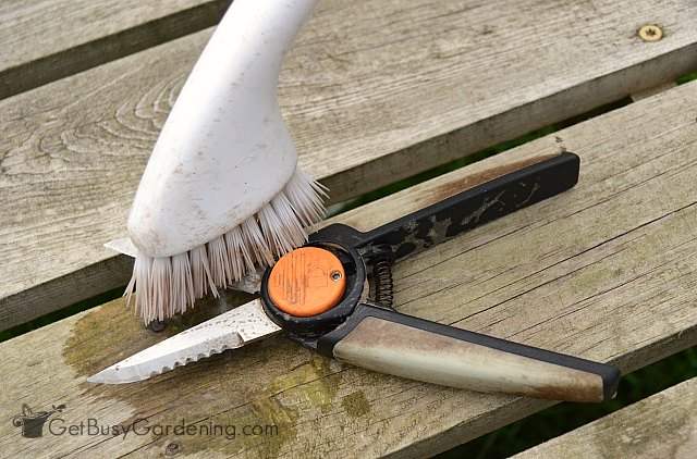Scrub pruning tools with nylon brush to remove gunk