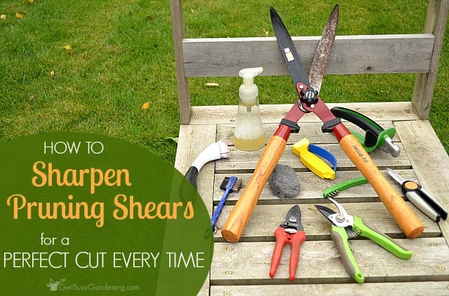 Sharpen Pruning Shears For The Perfect Cut Every Time Get Busy