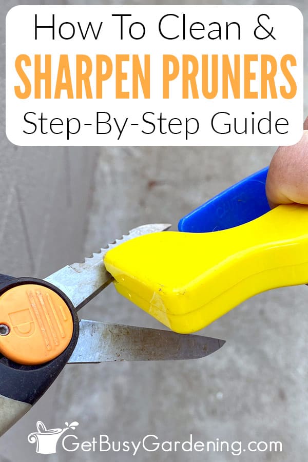 How To Clean & Sharpen Pruners Step-By-Step Guide