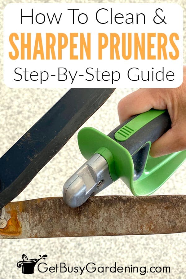 How To Clean & Sharpen Pruners Step-By-Step Guide