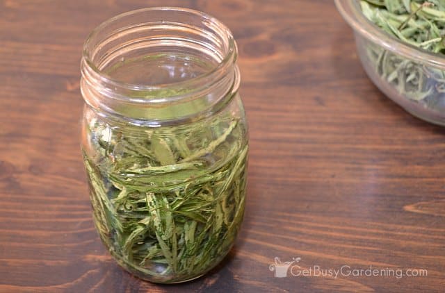 Vodka should cover leaves stevia liquid extract