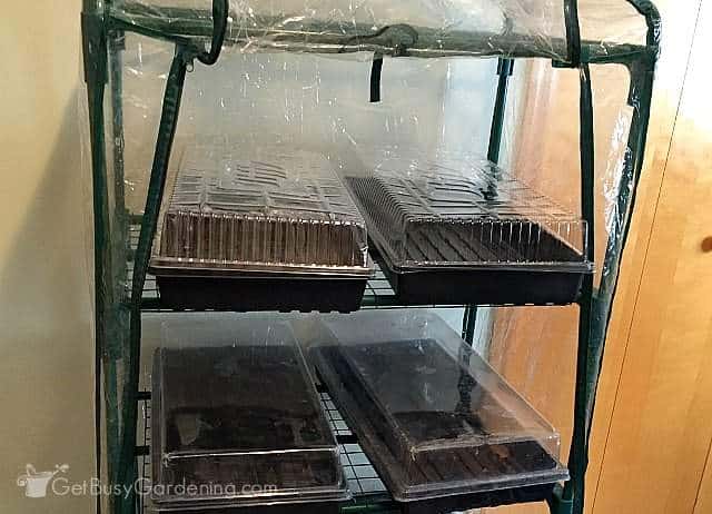 Lighting For Seedlings A Beginner S Guide To Grow Lights