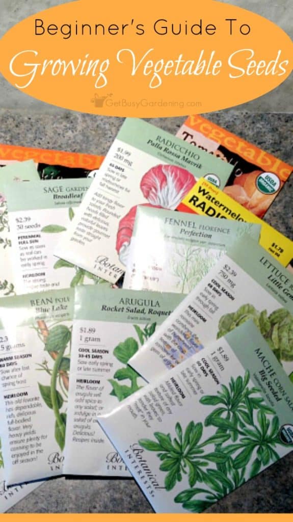 Starting Vegetable Seeds Beginner's Guide To Growing Vegetables From Seed