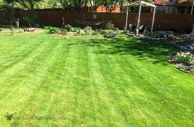 Experimenteer met verschillende grassnijtechnieken