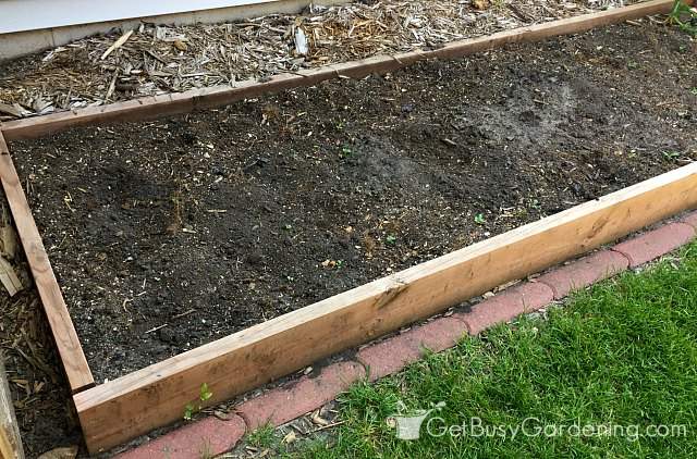 Need to test my soil in this raised bed
