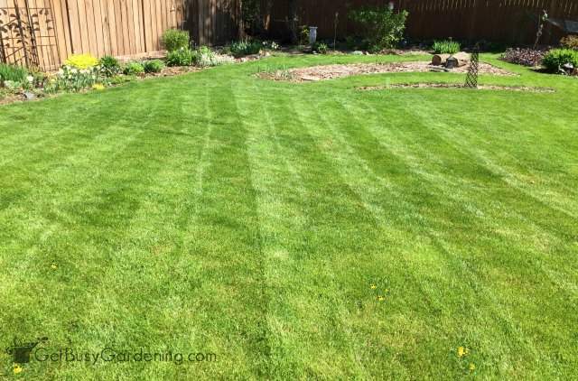 Simple lawn striped patterns