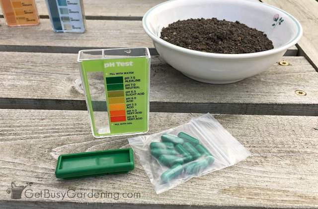 Testing the pH of garden soil