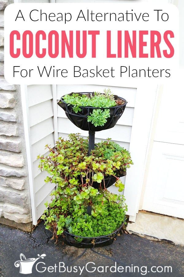 A Cheap Alternative To Coconut Liners For Wire Basket Planters