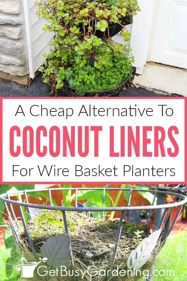 A Cheap Alternative To Coconut Liners For Wire Basket Planters