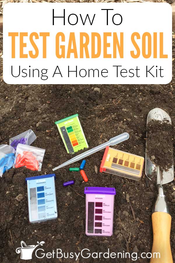 Medicinal Garden Kit Review Without Driving Yourself Crazy