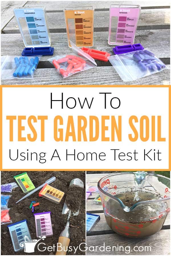How To Test Garden Soil Using A Home Test Kit