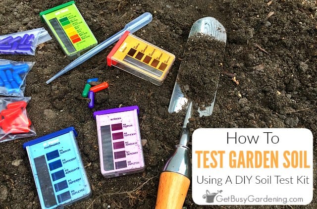 How To Test Your Soil Using A Home Test Kit