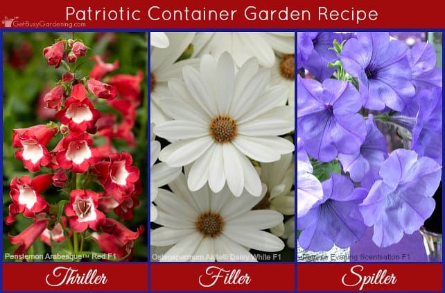 Container Flower Garden Ideas Cool Unique Designs For Your Container Garden Get Busy Gardening