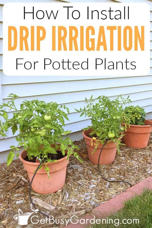 How To Install A DIY Drip Irrigation System For Potted Plants