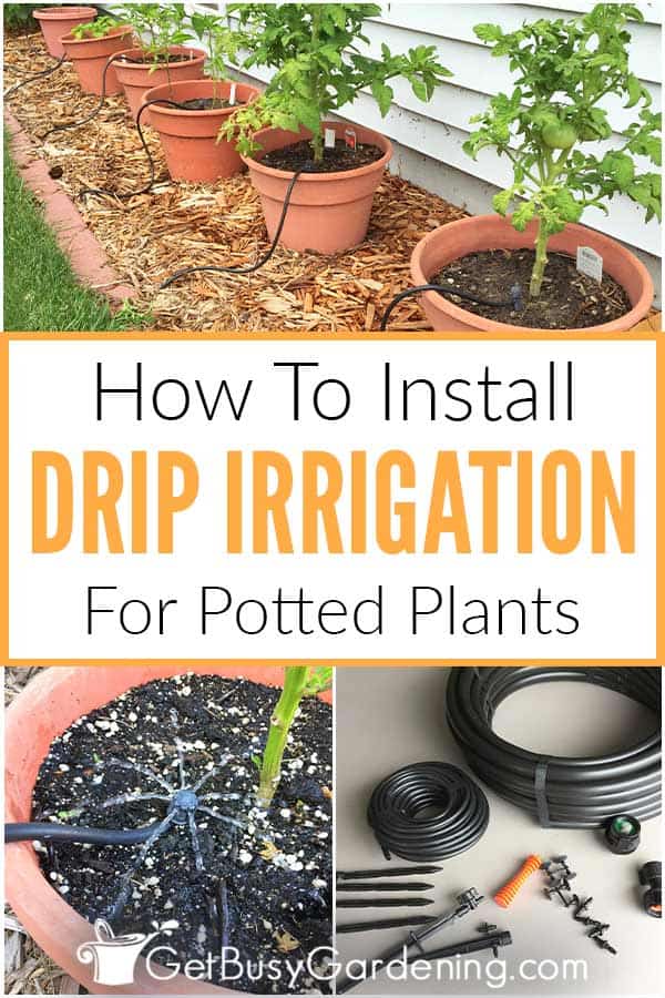 How To Install Drip Irrigation For Potted Plants