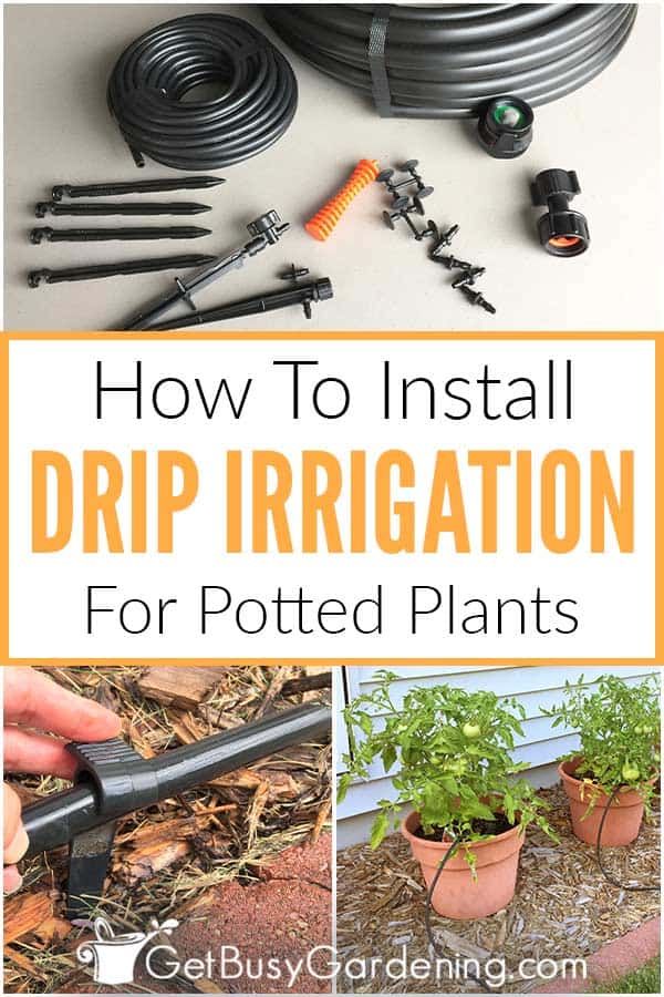 How To Install Drip Irrigation For Potted Plants