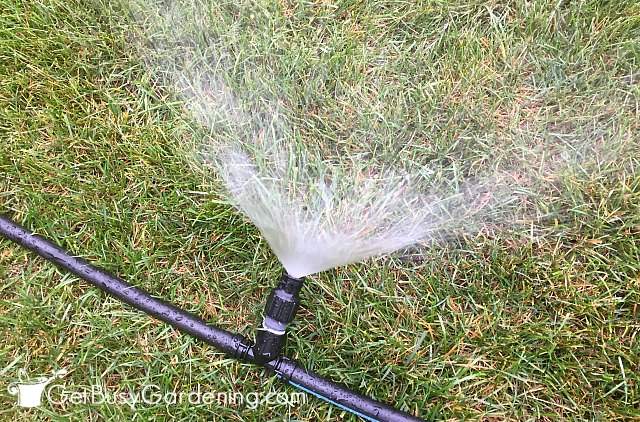 Closeup of a sprinkler head with water shooting out of it