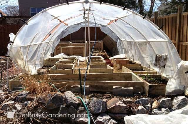 My greenhouse with our overhead sprinkler system installed