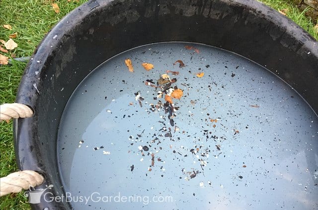 Remove floating debris to keep plants clean
