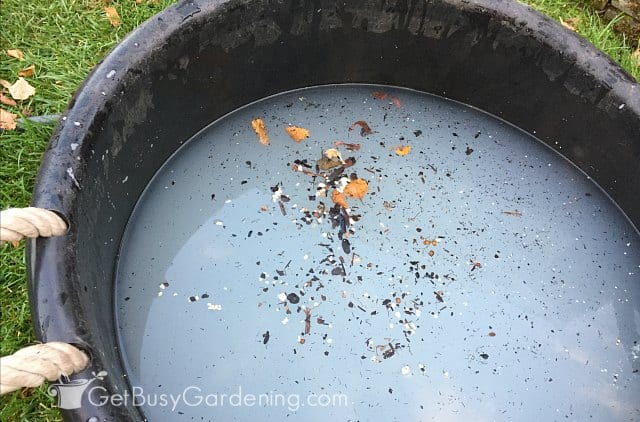 Plant debris floating on top of the water.