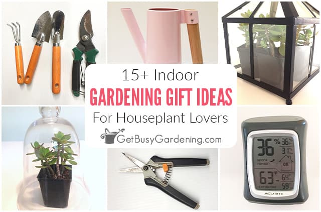 15+ Indoor Gardening Gift Ideas For Houseplant Lovers