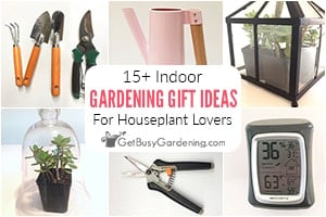 https://getbusygardening.com/wp-content/uploads/2017/10/Indoor-gardening-gift-ideas-300x200-1.jpg