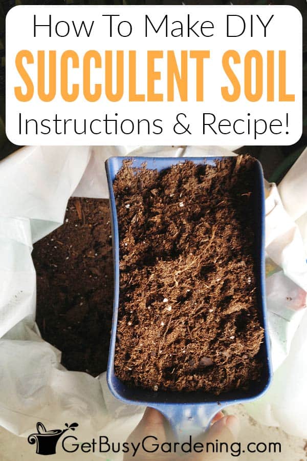 How To Make DIY Succulent Soil: Instructions & Recipe!