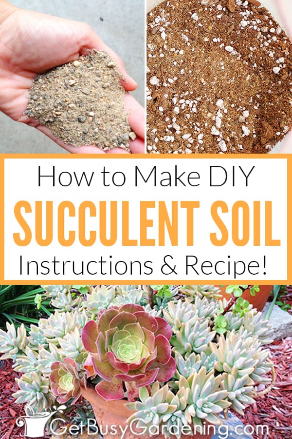 How To Make DIY Succulent Soil: Instructions & Recipe