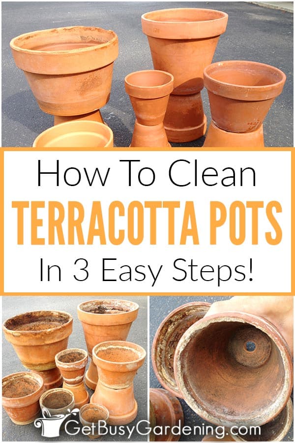 How To Clean Terracotta Pots In 3 Easy Steps!