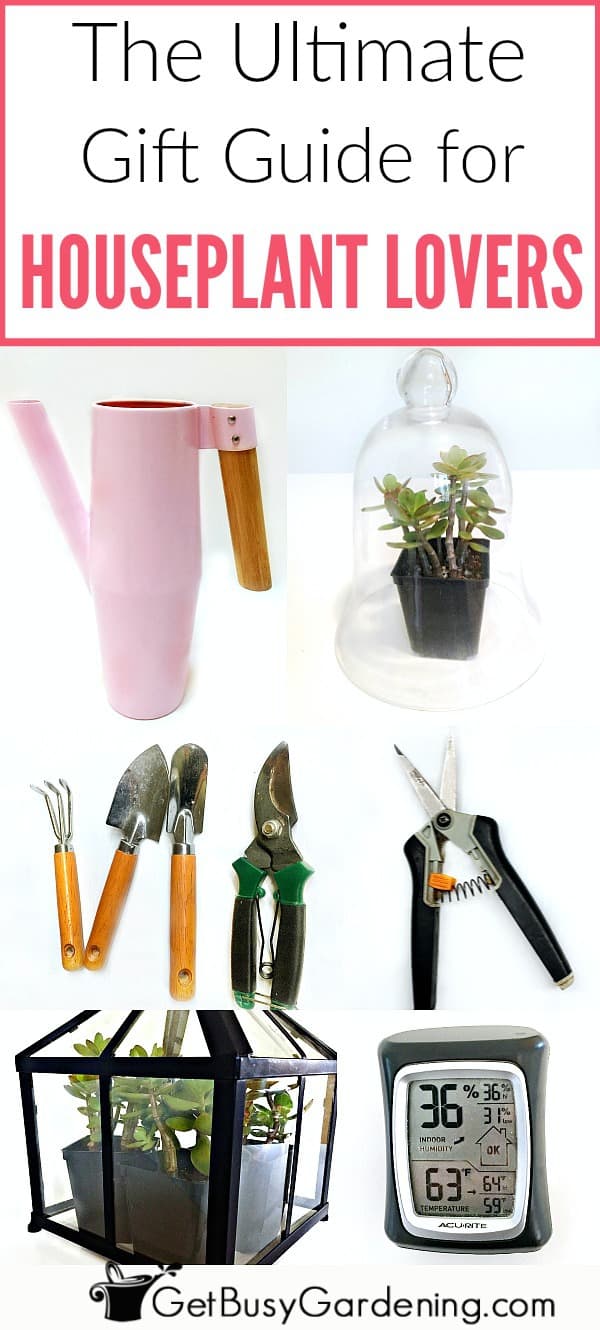 Indoor Gardening Gift Ideas The Ultimate Houseplant Lover Gift Guide