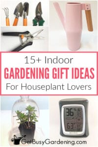 15+ Indoor Gardening Gift Ideas For Plant Lovers - Get Busy Gardening