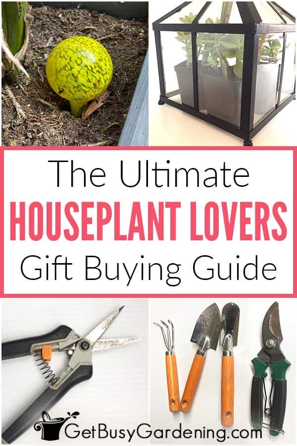 The Ultimate Houseplant Lovers Gift Buying Guide