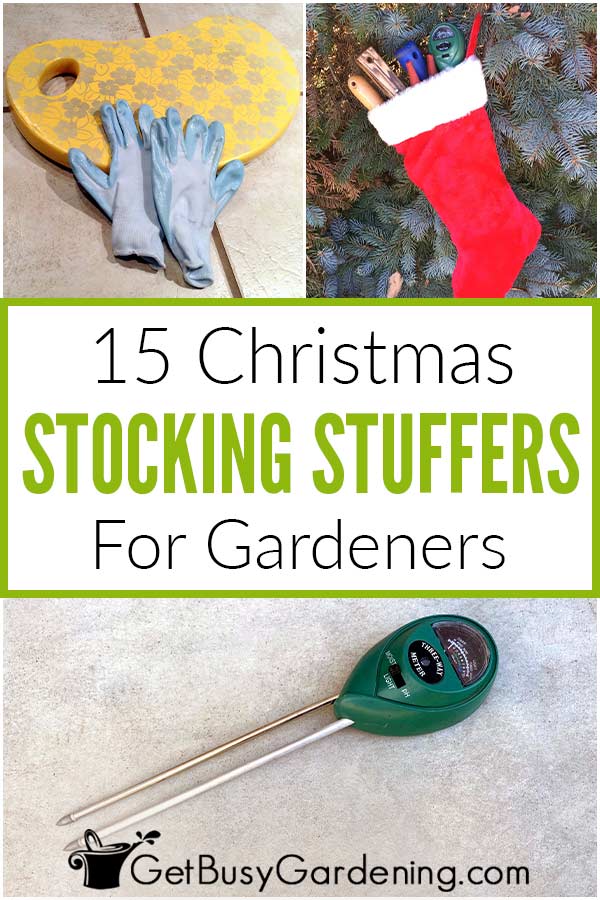 26 Perfect Stocking Stuffers for Gardeners Under $25 (Updated 2023) –  Garden Betty